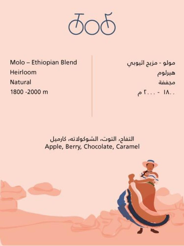 قهوة ترايسكل مولو بليند اثيوبيا 250 جرام